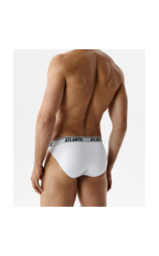Atlantic panties