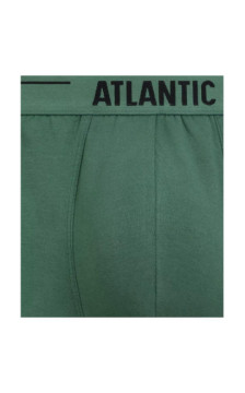 Atlantic panties