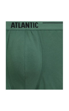 Atlantic panties