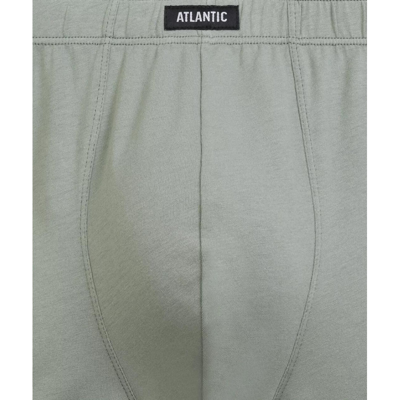 Atlantic panties