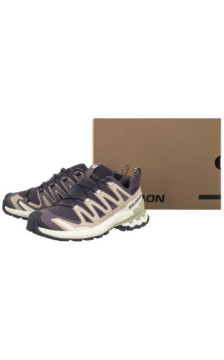 Salomon XA Pro 3D V9 Gtx W Nine Iron/Oxford Tan/Alfalfa 477447 (SO38-a) shoes